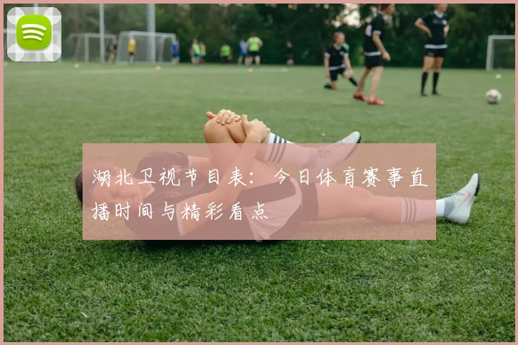 湖北卫视节目表：今日体育赛事直播时间与精彩看点